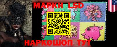 индика Кунгур