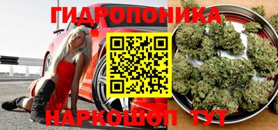 индика Кунгур