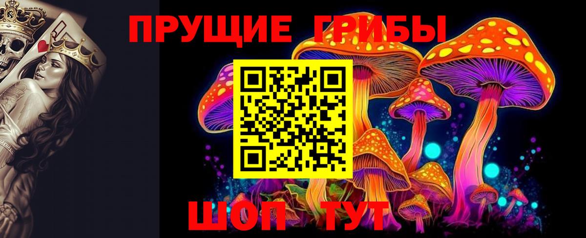 как найти закладки  Псилоцибиновые грибы Psilocybe  Вход с VPN  Зеленогорск  Псилоцибиновые грибы ЛСД 