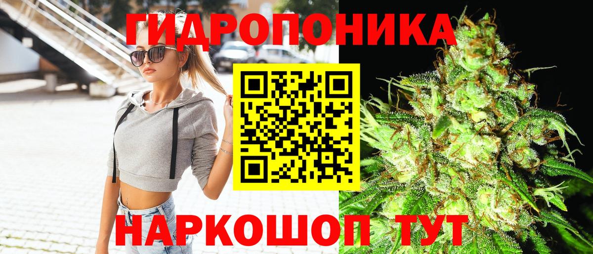 Шишки марихуана Amnesia Зеленогорск